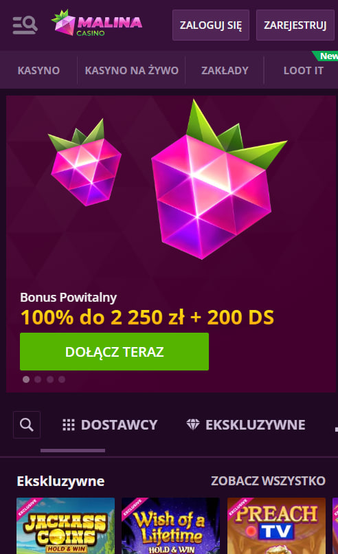 Program Lojalnościowy Analiza Opłacalności i Struktury VIP